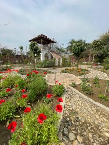 Organic farm-to-table dining at Namaste Dwaar eco resort