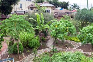 Eco-tourism nature walk near Delhi wetlands