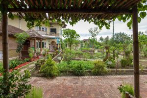 Eco-friendly resort near Delhi with organic farm and greenery